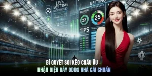Bí Quyết Soi Kèo Châu Âu - Nhận Diện Bẫy Odds Nhà Cái Chuẩn