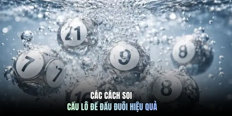 Các cách soi cầu lô đề đầu đuôi hiệu quả