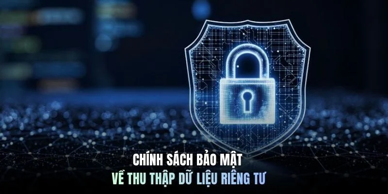 Chính sách bảo mật về thu thập dữ liệu riêng tư