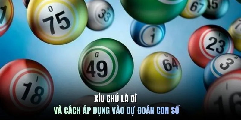 Xỉu chủ là gì và cách áp dụng vào dự đoán con số